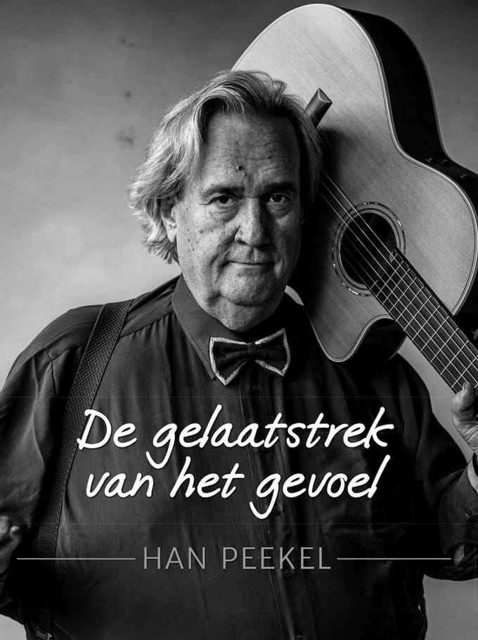 Gelaatstrek Van Het Gevoel