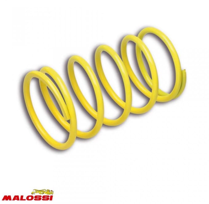 Ressort d embrayage Malossi pour Scooter Yamaha 300 Versity Neuf