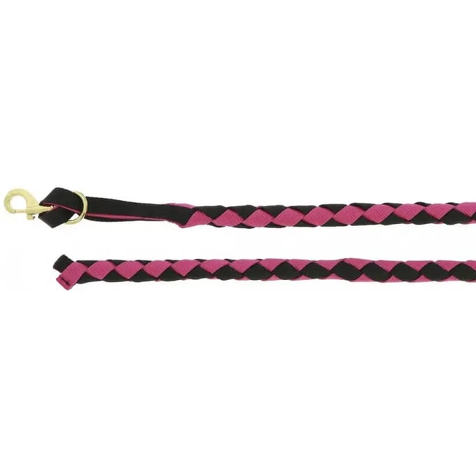 Amerikaans paard lanyard Norton