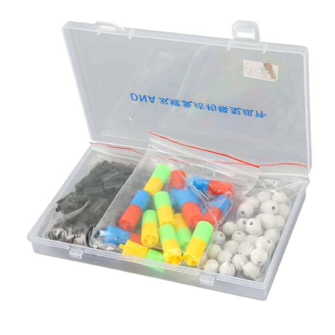 Modèles de Structure d'ADN Double Hélice Kit de Modèles d'ADN Double Hélice Éducatifs Science Biologique white