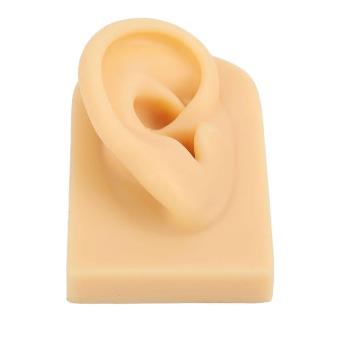 Modèle d'oreille Silicone souple Flexible Simulation d'oreille Pratique de piercing Présentoir à bijoux Faux modèle d'oreille beige