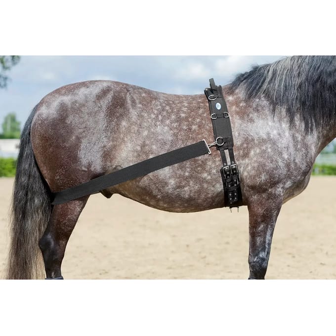 Paardensingel USG Lehmann