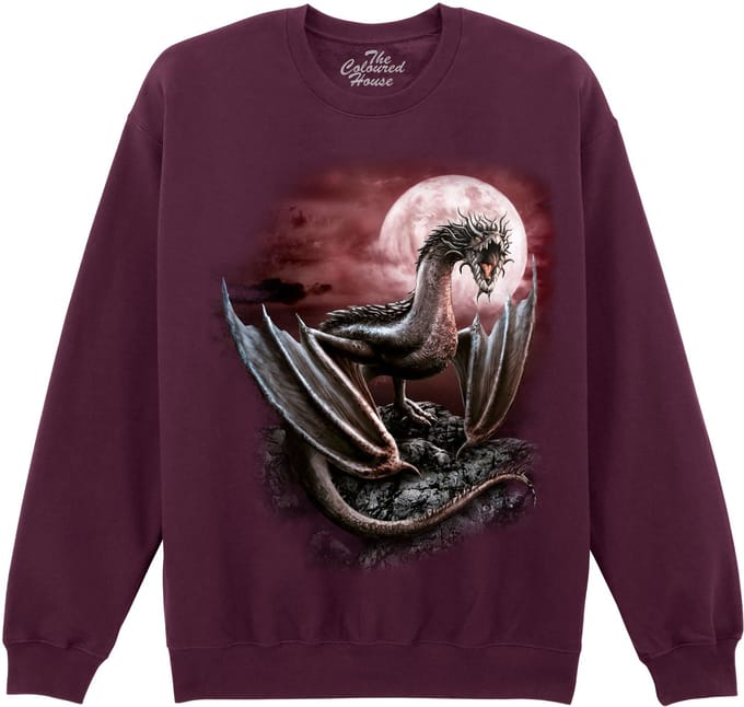 Draak Darius Dragon The Coloured House Sweater S