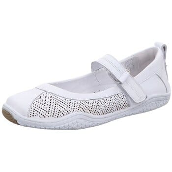 Ballerina's Gemini -