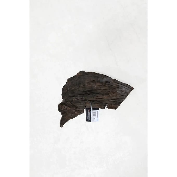 Mangrovewortel aquariumdecoratie Aquavie