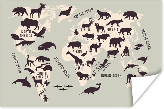 Wereldkaart - Kinderen - Grijs - 30x20 cm - Poster