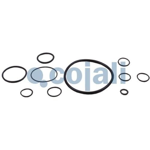 Reparatieset, koppelingsbekrachtiger COJALI 6012231