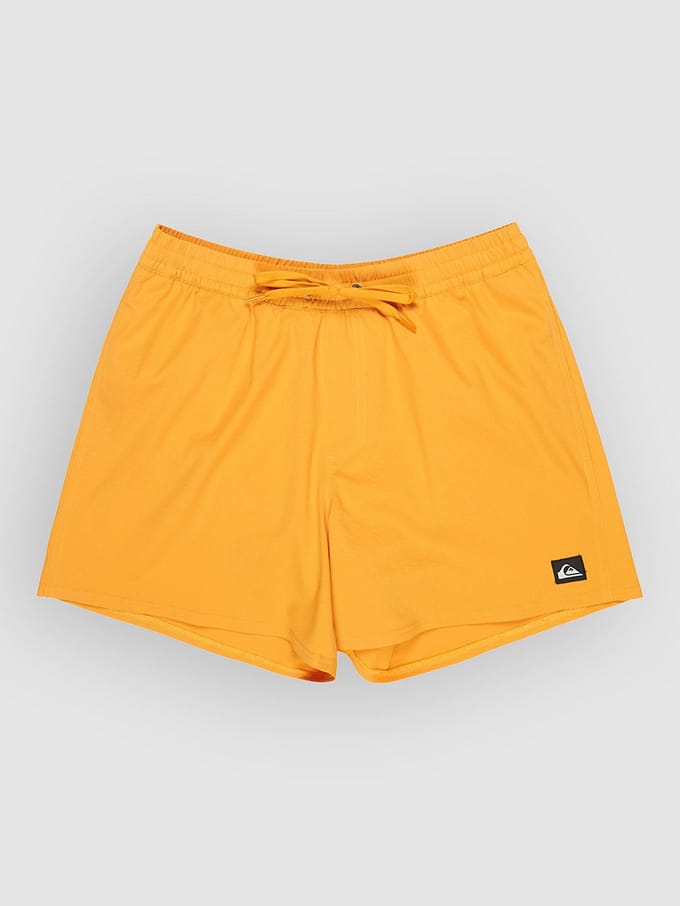 Surf shorts Quiksilver Everyday Flex Volley 15"