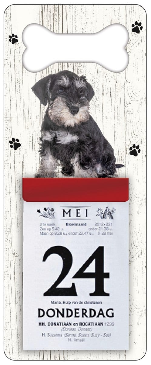 Scheurkalender 2027 Hond: Dwergschnauzer