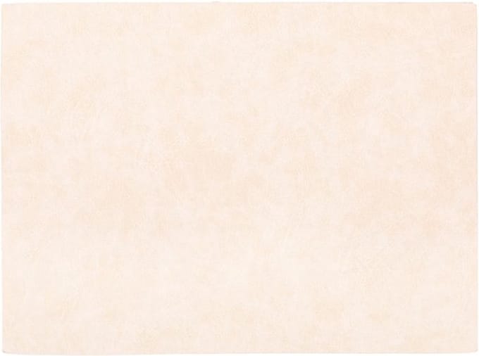 Placemat TROJA - SET/6 - kunstleer - 33x45 cm, crème