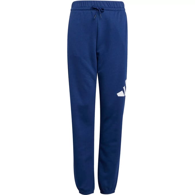 Adidas Essentials Big Logo Joggers Blauw 7-8 Years Kinderen