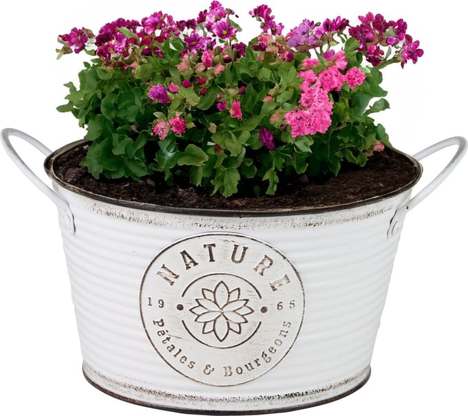 Sunnydays Teil/plantenpot/bloempot - zink - rond - ivoorwit - D22 x H12 cm
