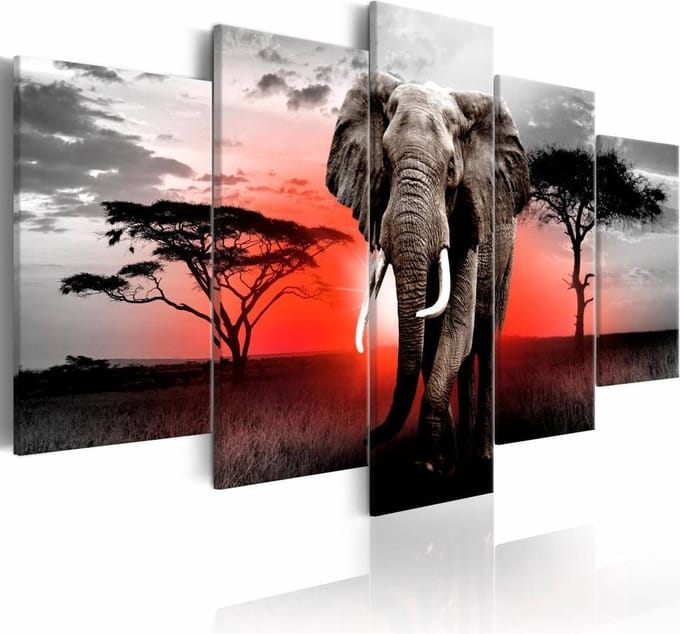 Schilderij - Eenzame Olifant , rood grijs , 5 luik
