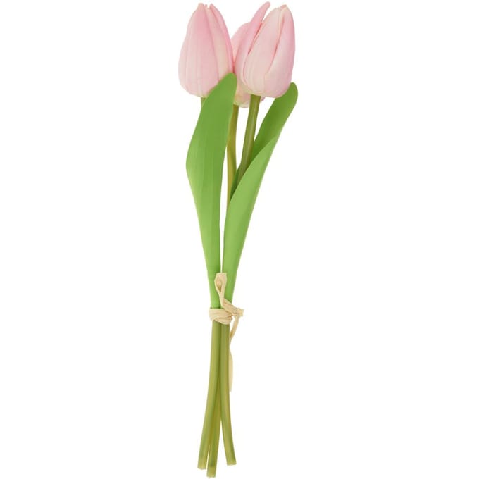 VBS Tulp "Tammie" - Roze