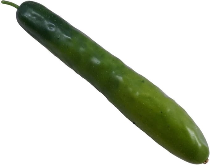 Namaak komkommer. Nep kunst groenten. Lengte 23 cm. 4,5 cm doorsnede