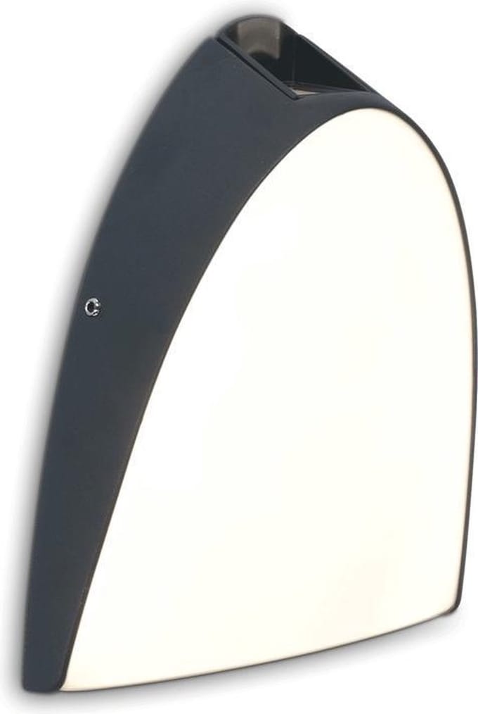 LUTEC Apollo - LED Wandlamp voor Buiten - Donkergrijs