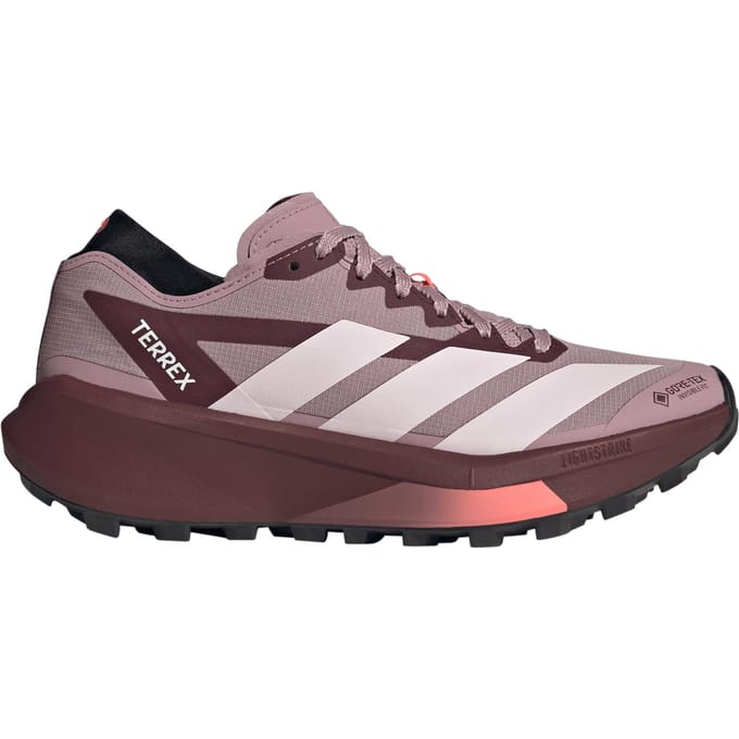 Damesschoenen adidas Terrex Agravic Gore-Tex 2