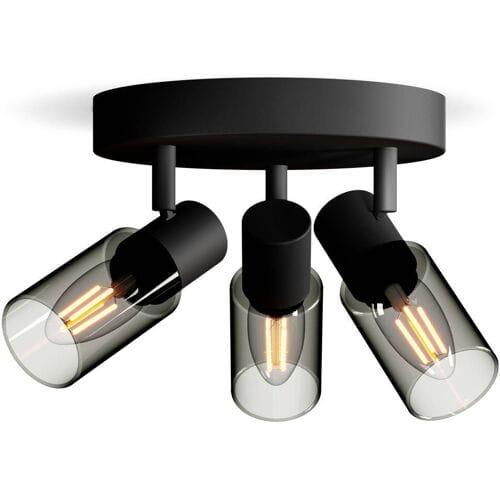 Philips Palms Spot - Plafondspot met drie lichtpunten - Met gerookt glas - Kleine fitting E14 - Ronde basisplaat
