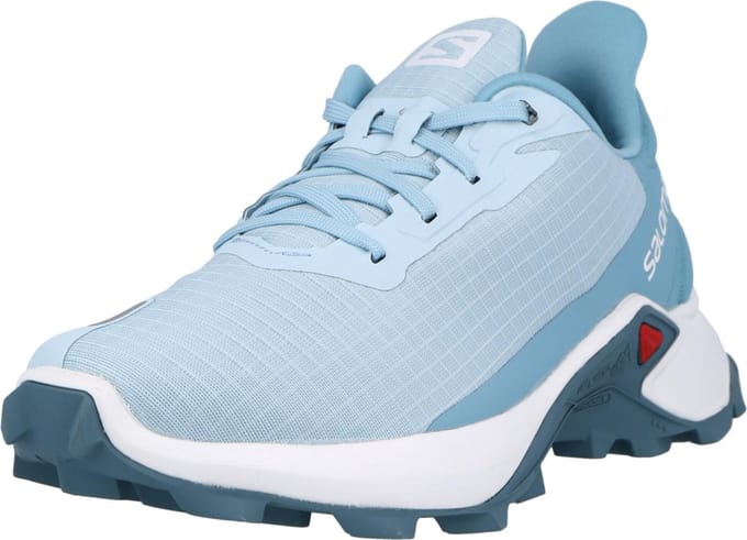 Salomon lage schoen alphacross Wit-8 (42)