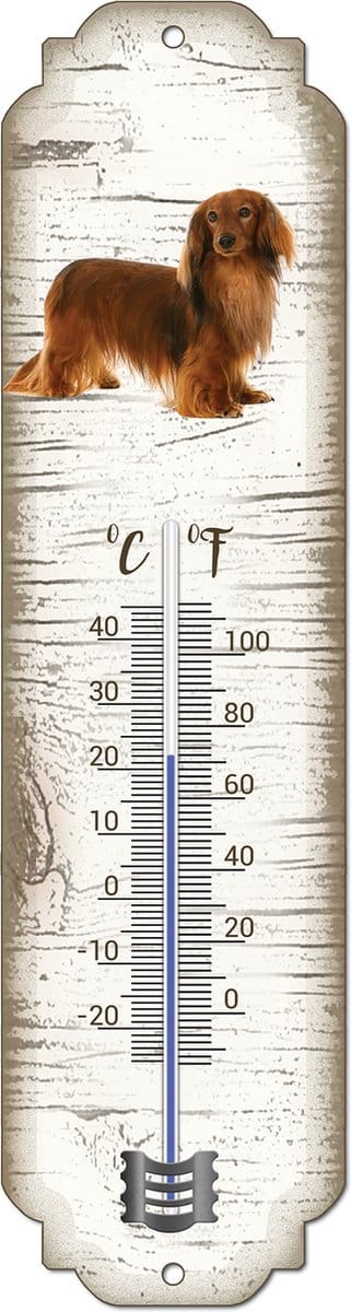 Thermometer: Langharige Teckel | Hondenras | Temperatuur binnen en buiten | -25 tot +45C