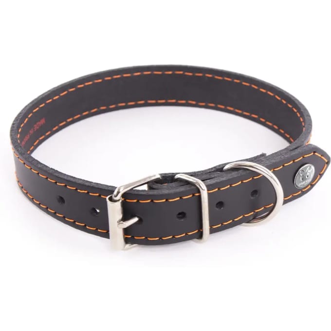 Hondenhalsband Martin Sellier Flash