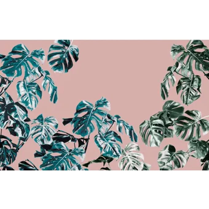 Fotobehang Monstera Rose - Roze - 2,50m X 400cm