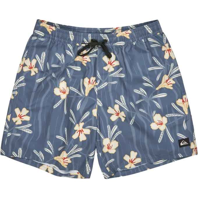 Zwemshort Quiksilver Everyday Straight Volley (17")
