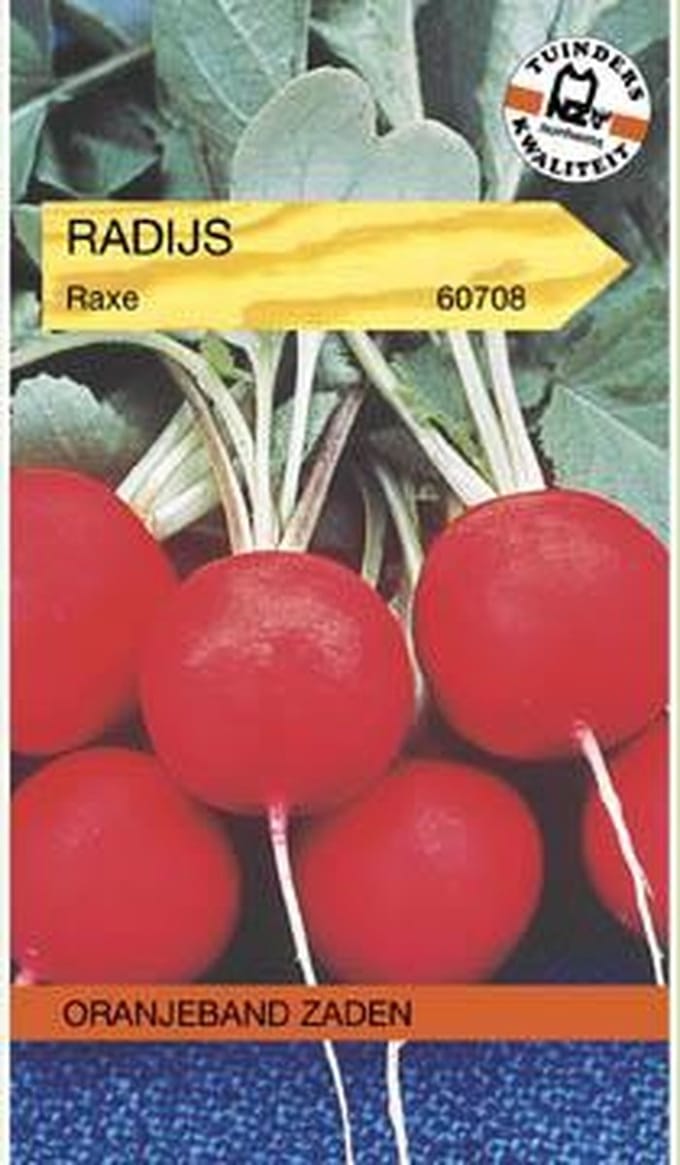 Oranjebandzaden -  Radijs Raxe