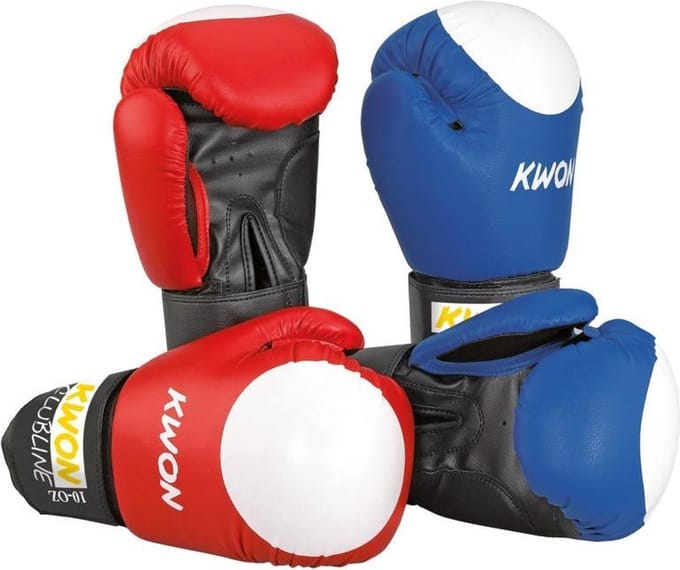 KWON Bokshandschoenen Pointer 10oz