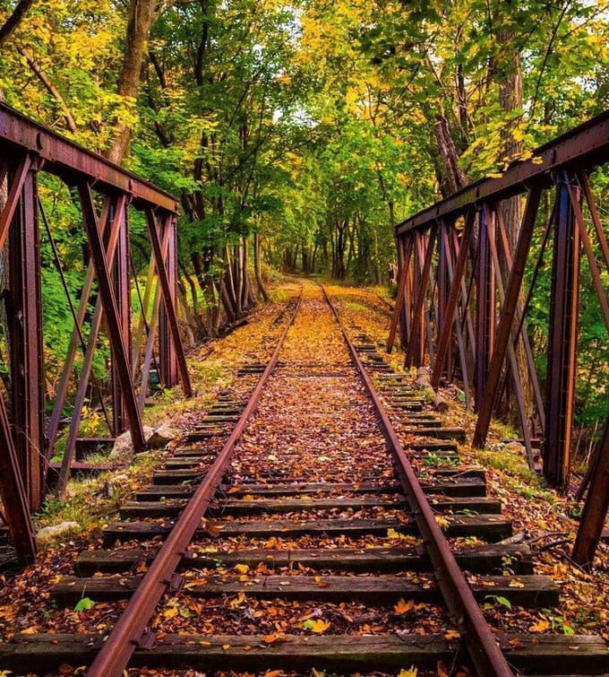 Fotobehang - Railroad 225x250cm - Vliesbehang