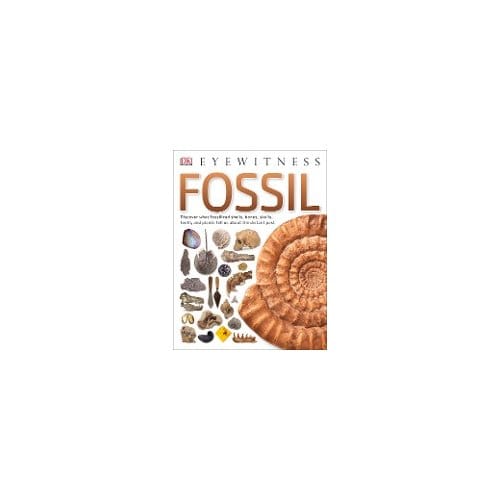 Fossil - DK