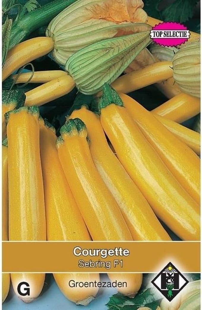 Van Hemert - Courgette Yellowstar F1