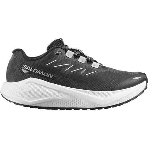 Sportieve Salomon AERO BLAZE 3 GRVL W 38 Dames