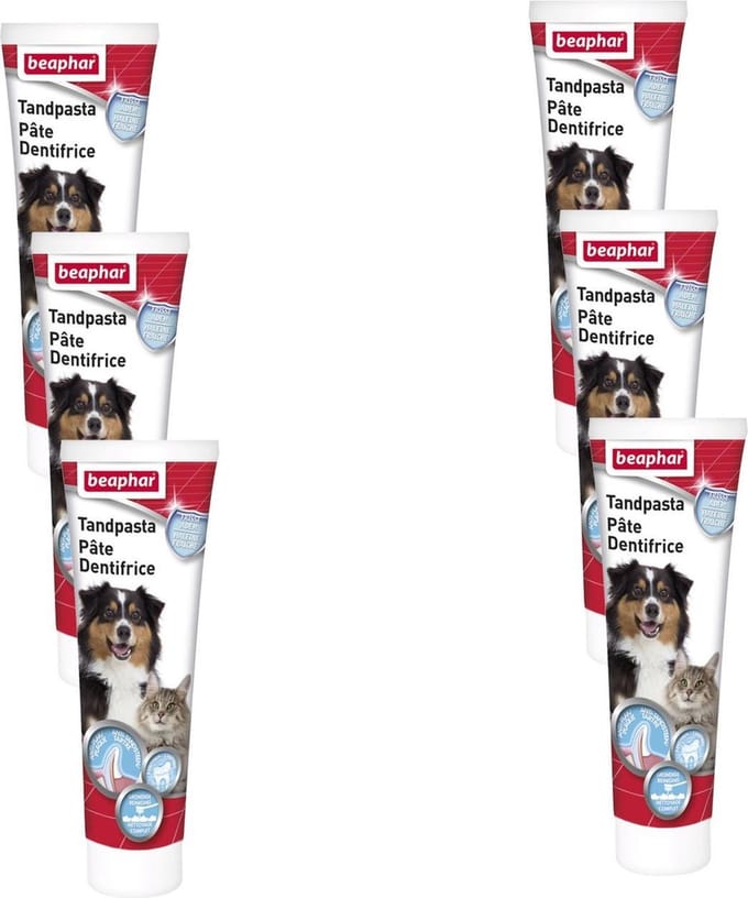 Beaphar Tandpasta - Gebitsverzorging - 6 x Lever 100 g