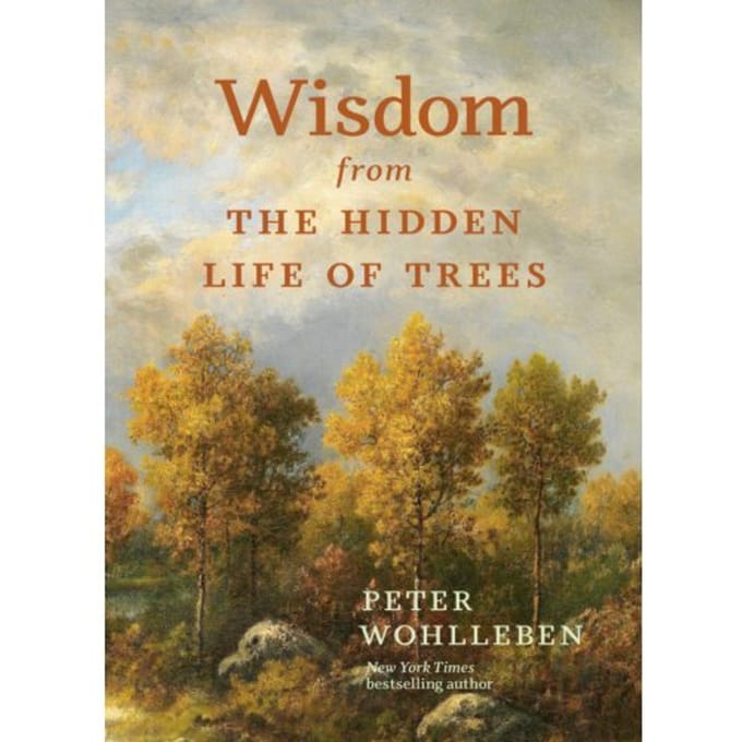 Wisdom From The Hidden Life Of Trees - David Suzuki Institute - Peter Wohlleben