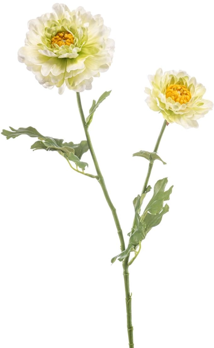 Emerald - Kunstbloem Ranonkel Japane 65cm groen - Kunstplant voor binnen
