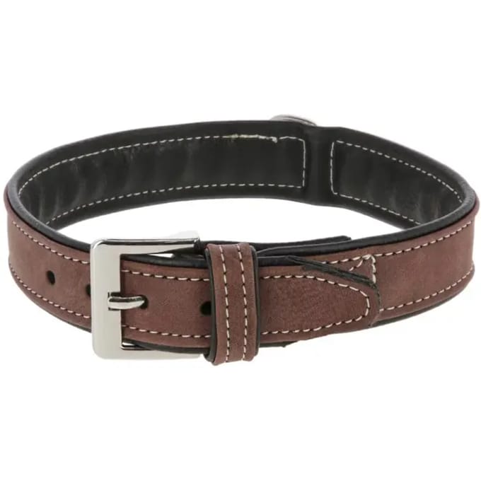 Hondenhalsband Kerbl California