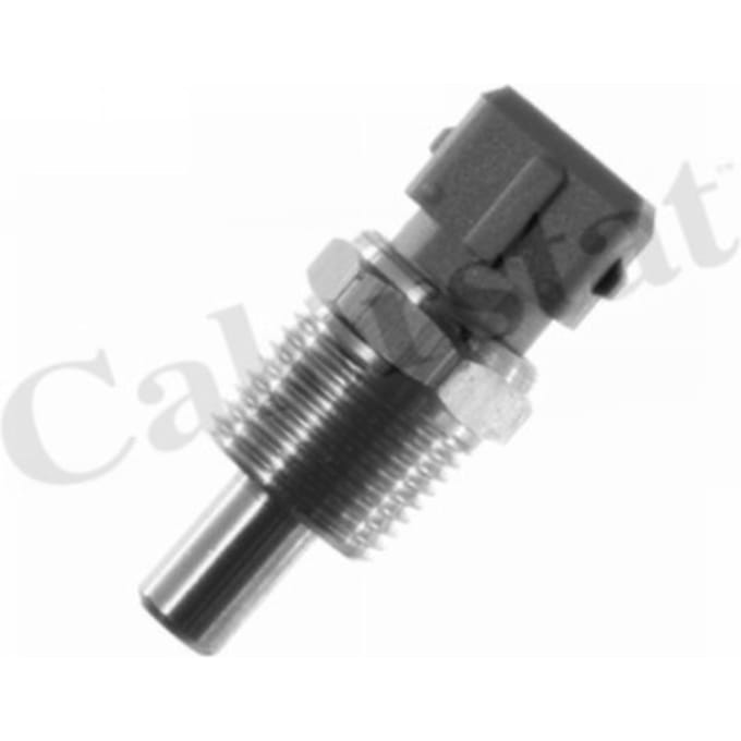Temperatuursensor CALORSTAT BY VERNET WS2676