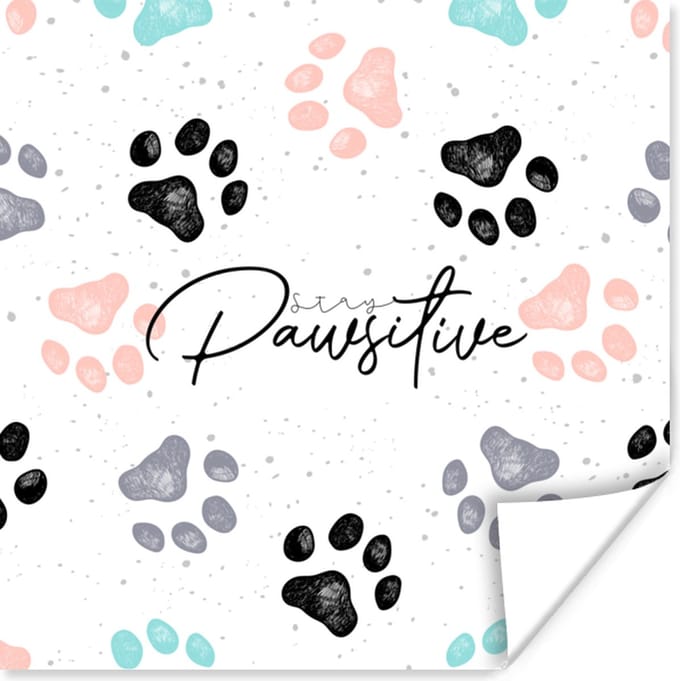 Poster Spreuken - Hond - Quotes - Stay pawsitive - 75x75 cm