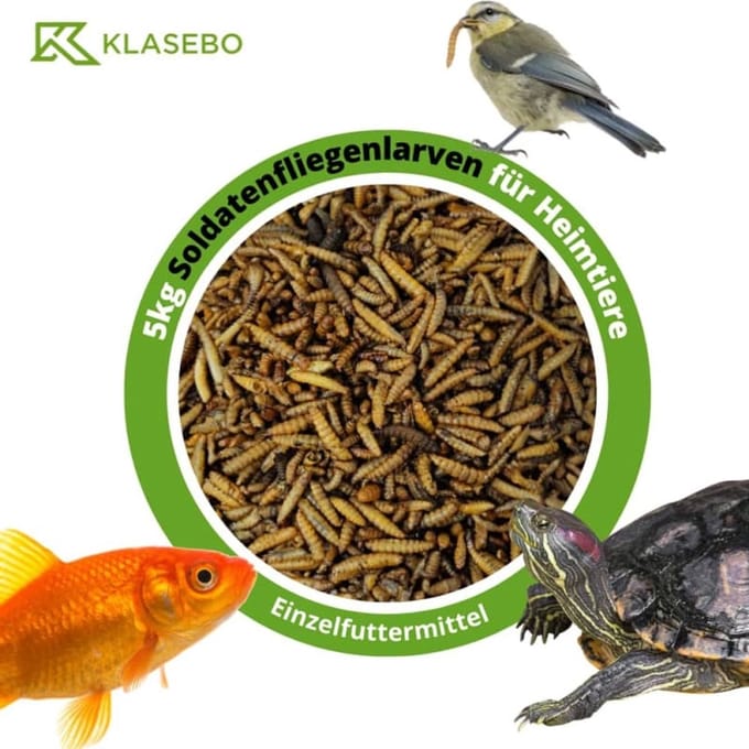 Soldatenvliegenlarven 5kg, hele gedroogde Hermetia illucens