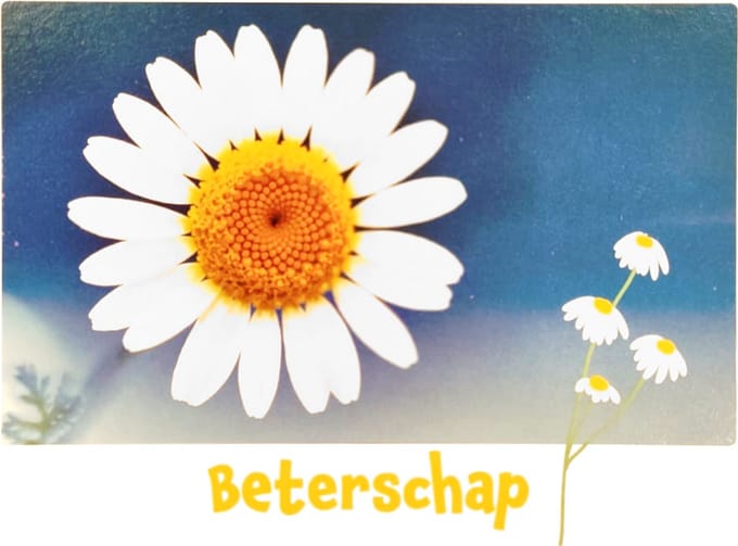 Kaart - Artige - Little wishes - Beterschap - ECLT23-A