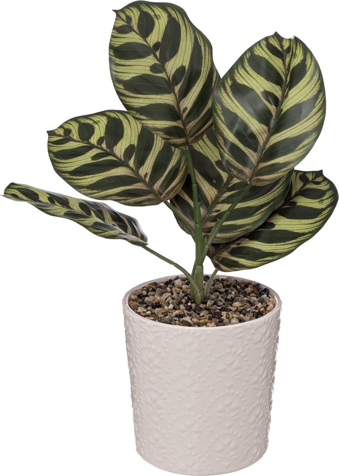 Atmosphera Kunstplant - Plant - H35cm - 2 Varianten - Nacht