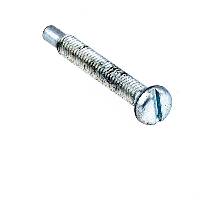 Screw