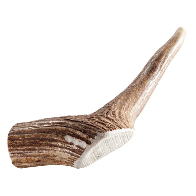 Chewies Edelherten Gewei Stang M - 120 gr