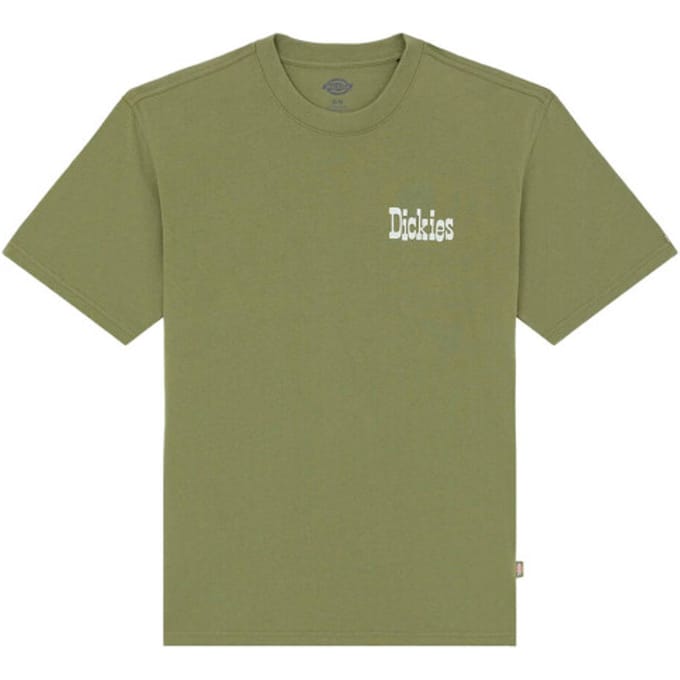 Dickies T-shirt korte mouw dk0a88jvk721