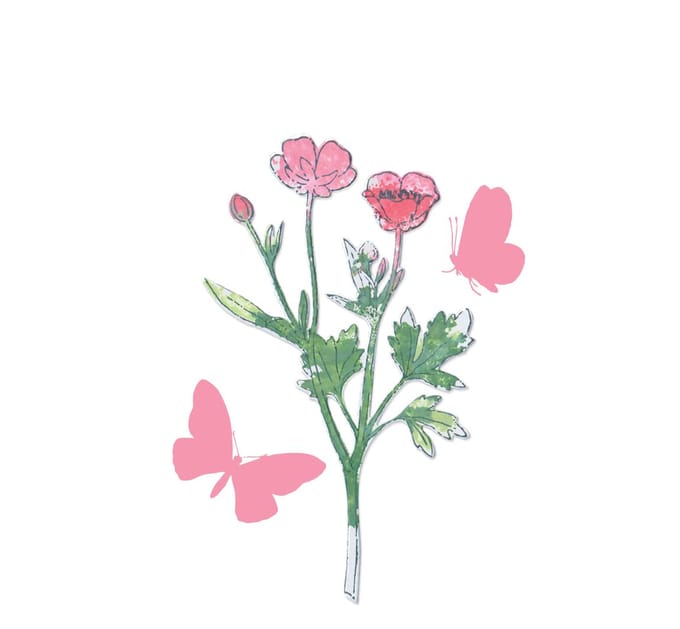 Sizzix • Clear Stamps Set A5 with Framelits Die Painted Pencil Botanical