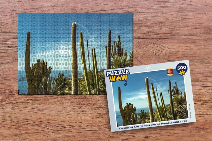 Puzzel Cactus - Zee - Lucht - Legpuzzel - Puzzel 500 stukjes