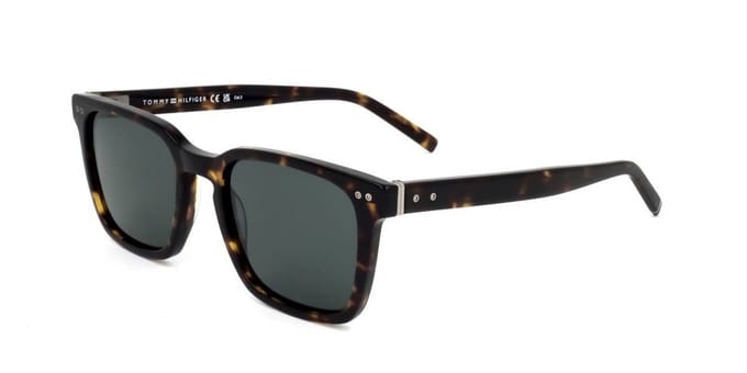 Tommy Hilfiger TH 1971/S 086 Zonnebril - Heren - Bruin