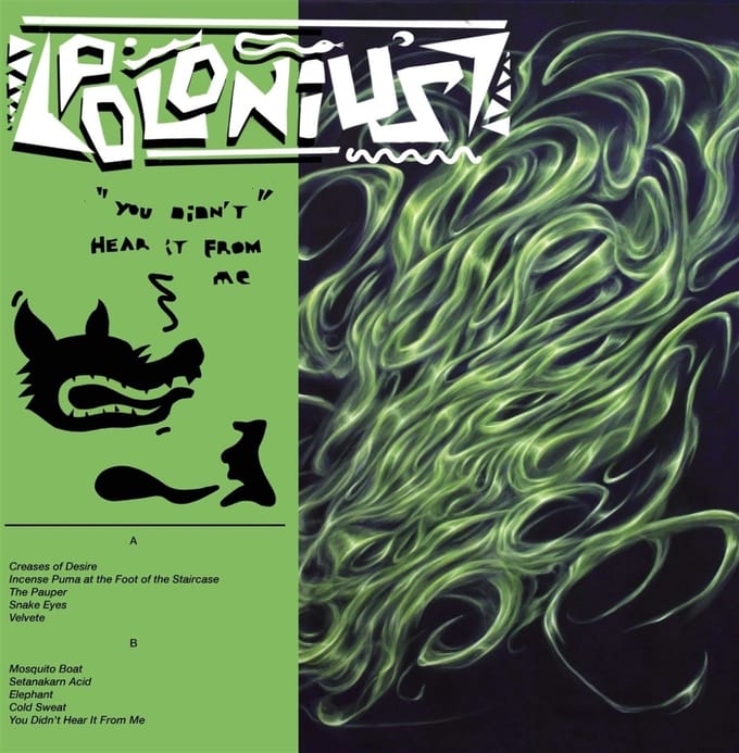 Polonius - You Didn't Hear It From Me (LP)