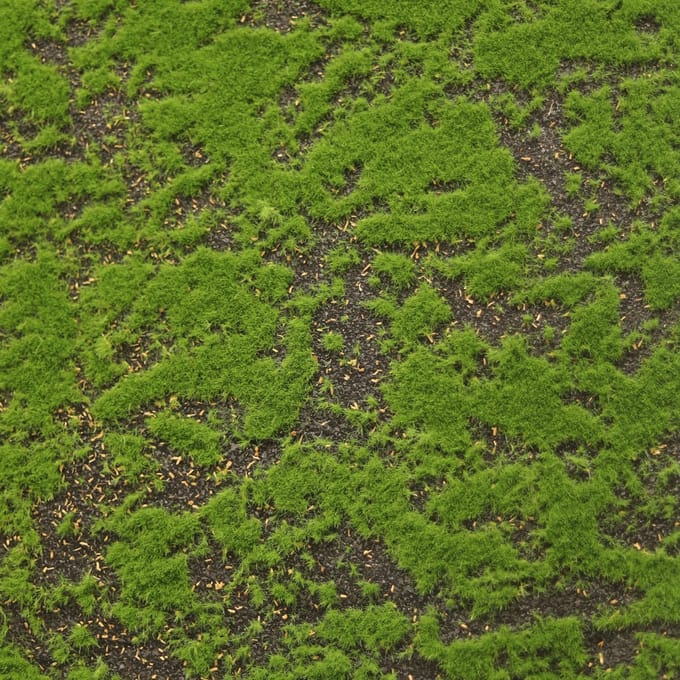 Kunst Mos Wand 100x290cm groen